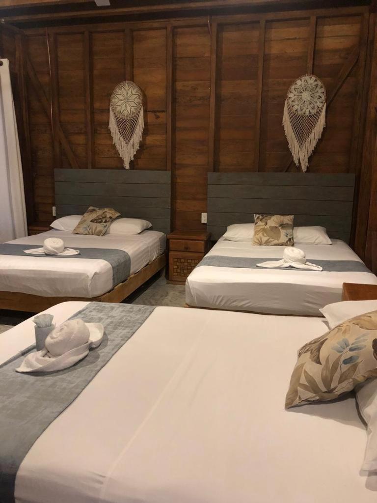 Cabanas Chac Mool Downtown ホルボックス島 エクステリア 写真